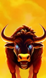 Big Wild Buffalo 2